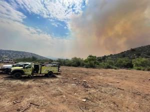Mescal Fire